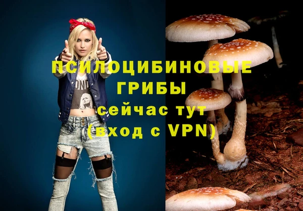 а пвп мука Козельск