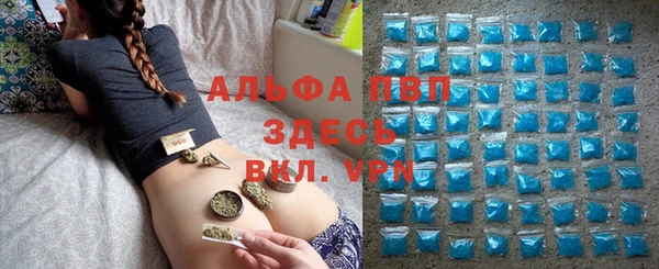 ECSTASY Кодинск