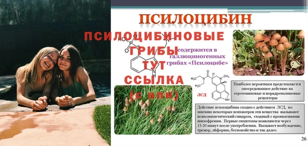 героин Козловка