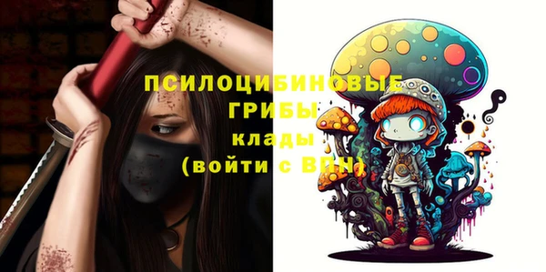 ECSTASY Кодинск