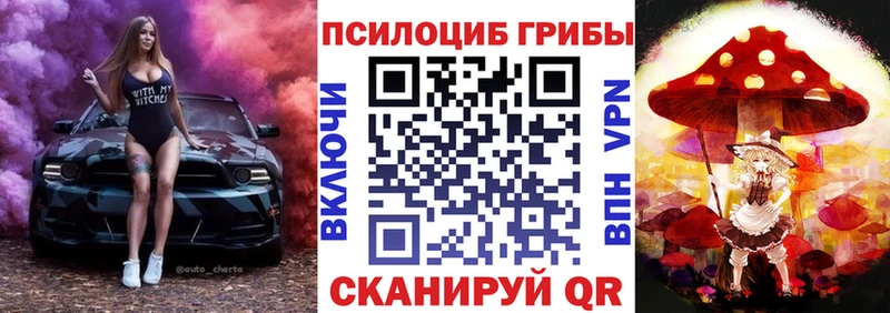 Купить  Краснотурьинск  Псилоцибиновые грибы GOLDEN TEACHER 